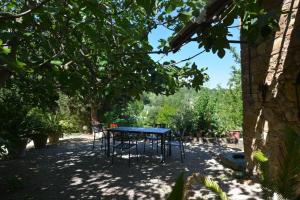 ein blauer Tisch und Stühle unter einem Baum in der Unterkunft Il CASETTINO - Ferienwohnungen mit pool in Radicondoli