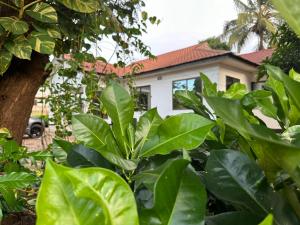 a house in the background with green plants at Wakanda Elegant Apartment with Wi-Fi by Monalisa in Morogoro