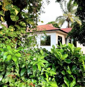 a house is seen through a bush at Wakanda Elegant Apartment with Wi-Fi by Monalisa in Morogoro