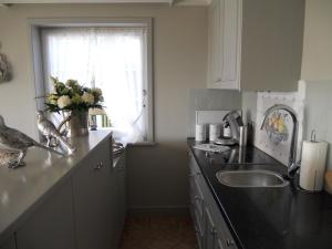 uma cozinha com um lavatório e um pássaro no balcão em Ferienwohnung für 2 Personen ca 55 qm in Munkmarsch, Nordfriesische Inseln Sylt em Munkmarsch