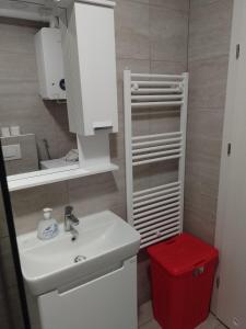Iver Ivana في سيسفيت: حمام مع حوض وسلة مهملات حمراء