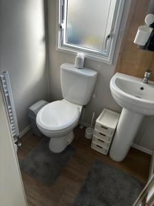 a bathroom with a white toilet and a sink at Ataraxia - Ocean Edge Resort - 8 Berth Accommodation in Heysham