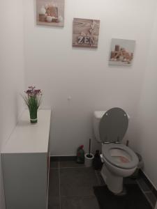 a bathroom with a toilet and three pictures on the wall at MIRANEO in Miramas +1 photo
