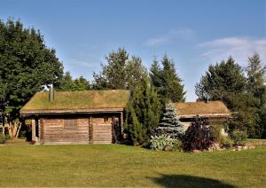 eine Blockhütte mit einem Grasdach auf einem Feld in der Unterkunft Russet & Rowanberry - Rowanberry Holiday House in Kriilevälja