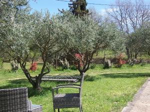 Ogród w obiekcie OUSTAOU DU GAYET gîte de charme avec piscine privée