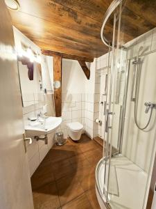 a bathroom with a toilet and a sink and a shower at Hotel Taverne zur Linde in Bischofszell