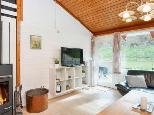 TV a/nebo společenská místnost v ubytování Holiday home Aabenraa LX