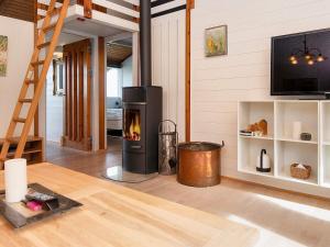 TV a/nebo společenská místnost v ubytování Holiday home Aabenraa LX