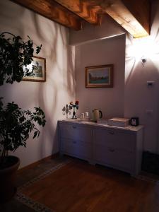 Pokój z komodą i rośliną w obiekcie Balconi san Giorgio w mieście Varenna