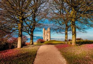 a path leading to a tower in a field with trees at The Crown at Shipton in Shipton under Wychwood