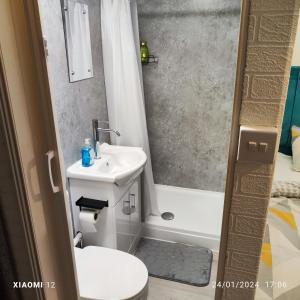 a bathroom with a sink and a toilet and a shower at St Lucia Leicester in Leicester