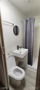 a bathroom with a toilet and a sink and a shower at St Lucia Leicester in Leicester