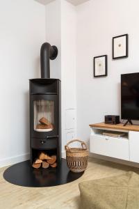 a black stove in a room with a tv at Alte Waescherei _9463_ in List