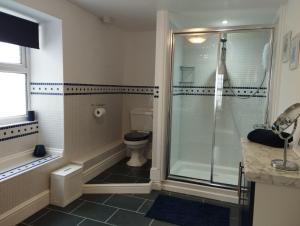 a bathroom with a shower and a toilet at Private Quay, Balcony, Sea Views, Free Parking in Pembrokeshire