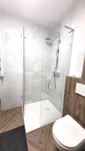a bathroom with a shower and a toilet at APARTAMENT JARACZA 28/16 in Słupsk
