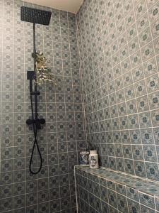 een badkamer met een douche en blauwe betegelde muren bij La Babayaga in Capestang