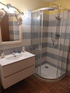a bathroom with a shower and a sink at Una Franca Camere Di Charme in Biella