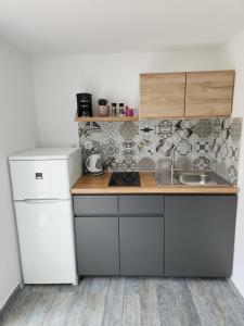 a kitchen with a white refrigerator and a sink at Studio TEA in Polje