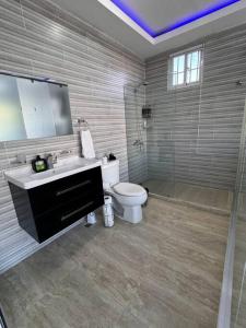 a bathroom with a toilet and a sink and a shower at La Vega City home with pool in Concepción de La Vega