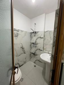 地拉那的住宿－Agroni Rooms，一间带卫生间和水槽的浴室