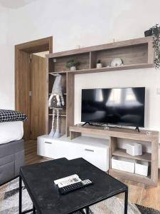 Apartmani M.&.B Luks 2 في Mataruška Banja: غرفة معيشة مع تلفزيون وطاولة قهوة