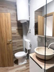 La salle de bains est pourvue d'un lavabo, de toilettes et d'un miroir. dans l'établissement Apartmani M.&.B Luks 2, à Mataruška Banja