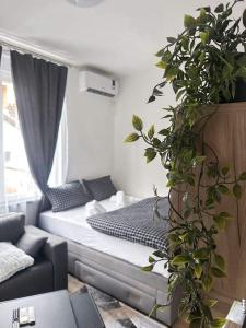 - une chambre avec un lit et une plante en pot dans l'établissement Apartmani M.&.B Luks 2, à Mataruška Banja
