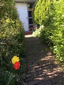 a brick pathway with a red and yellow flower at Wim's Place Schiphol Amsterdam Airport in Hoofddorp