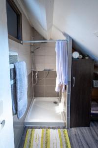 ein kleines Bad mit Dusche in einem Zimmer in der Unterkunft Coeur de Charente Maritime, venez respirez. in Saint-Germain-de-Marencennes