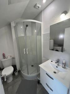 ein Bad mit einer Dusche, einem WC und einem Waschbecken in der Unterkunft Le garden cottage 20m² 2 personnes in Flers-lez-Lille