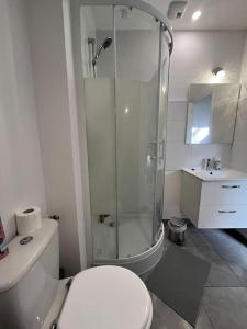ein Bad mit einer Dusche, einem WC und einem Waschbecken in der Unterkunft Le garden cottage 20m² 2 personnes in Flers-lez-Lille