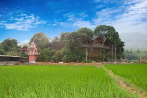 um campo de arroz com casas ao fundo em Mai Chau La Vida Homestay em Mai Châu