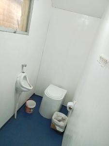 Baño pequeño con aseo y urinario en Blue Lake House, en Puno