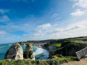 une vue d'une plage avec deux rochers dans l'océan dans l'établissement Le Havre Sanvic - appartement chaleureux, au Havre