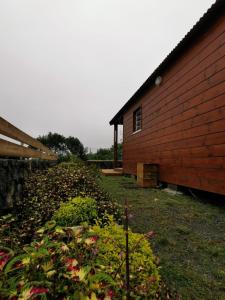 Bungalow Tillandsia外面的花园