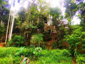 a tree house in the middle of a forest at VIMAANAYA Cabana & Restaurant in Badulla