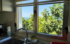 凱里尼亞的住宿－Luxuriant Houses Kyrenia，带水槽的厨房内的窗户,享有美景