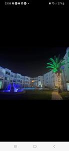 uma palmeira em frente a um edifício à noite em Apparemment grand standing pied dans l'eau em Douane