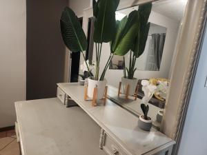 a dressing table with plants on it in front of a mirror at Lemon tree in Pretoria +105 photos