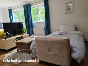 a bedroom with a bed and a tv and a chair at New - Bright London studio loft king bed apartment in quiet street near parks 1074 Lo in London