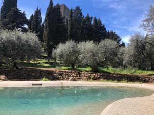 a swimming pool with trees and a stone wall at Torre dei Belforti in Montecatini Val di Cecina