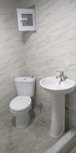 a white bathroom with a toilet and a sink at LeoSani in Lagodekhi