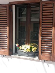 una ventana con una maceta de flores en el alféizar de la ventana en CASA DEL CORSO, en Dorgali