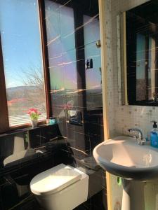 a bathroom with a toilet and a sink and a window at Hotel Villa DavidL in Sagarejo