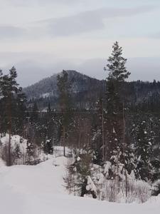 Tyforsgården v zimě