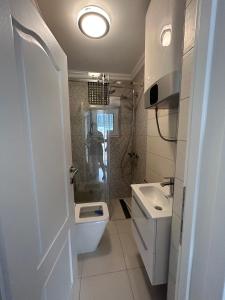 uma casa de banho com um WC, um lavatório e um chuveiro em Villa 46 - little heaven em Banja Luka