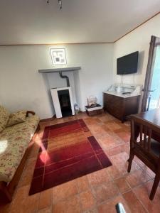 ein Wohnzimmer mit einem Sofa und einem Kamin in der Unterkunft Panoramic Orselina in Orselina