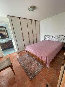 1 dormitorio con 1 cama con colcha rosa en Panoramic Orselina en Orselina