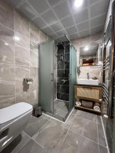 a bathroom with a shower and a toilet and a sink at Albayrak Konağı Otel in Amasya