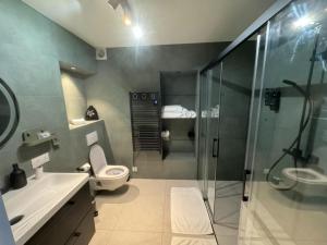 y baño con ducha, aseo y lavamanos. en LA MAISON DE ROBINSON en Le Plessis-Robinson